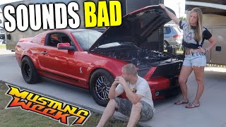 This is NOT Good For the GT500 Mustang Week 2024 [upl. by Benita286]