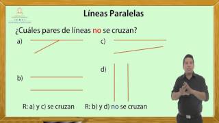 4 Marzo  Líneas Paralelas [upl. by Annait]