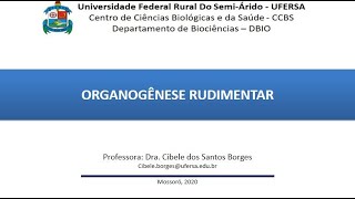 organogenese rudimentar [upl. by Ainad]