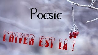 Poésie ⛄ Lhiver est là de Karine Persillet 🎄 [upl. by Anaic438]