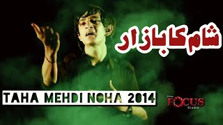 Roye na Khoon ke Ansu  Taha Mehdi 2014 Noha [upl. by Nylazor]