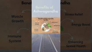 Benefits of ashwagandhahealthyfoodin menwomenmotivation [upl. by Oab]