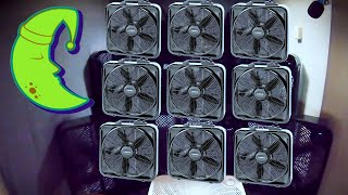 10 Fans for 10 Hours of Fan Noise For Sleeping [upl. by Ysac]