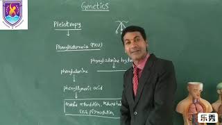 Pleiotropy  Genetics NCERT XII Class  By Nagavelli Prasad [upl. by Eiroj]