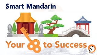 Key to Success Learning Mandarin with Pleasure👍  Smart Mandarin Basics19 [upl. by Llebanna]