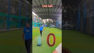 ashesturfcricket cricket turfground cricketlover status statusvideo shorts sixerman [upl. by Fi]