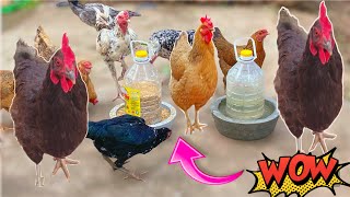 DIY CHICKEN FEEDER AT HOME FROM PLASTIC BOTTLES AND CEMENT [upl. by Enyalb]