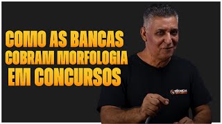 COMO AS BANCAS COBRAM MORFOLOGIA EM CONCURSOS  Português para Concursos [upl. by Hayott523]