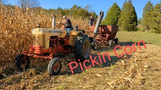 Pickin Corn with Russell Farms [upl. by Raf]