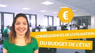 Utilisation du budget de lEtat  conséquences  Economie  Première ES  digiSchool [upl. by Shelley259]