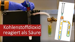 Natriumhydrogencarbonat reagiert mit Schwefelsäure  Kohlenstoffdioxid reagiert mit Wasser als Säure [upl. by Roselani598]