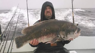 Hunting Giants with Tautog IGFA World Record Holder Ken Westerfeld [upl. by Adahsar]