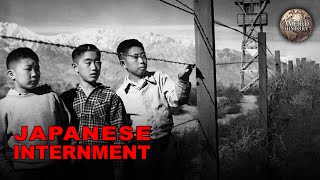 What Happened to JapaneseAmericans During WWII [upl. by Osi610]