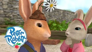 Peter Rabbit  The Worst Disguise  Cartoons for Kids [upl. by Ttehr]