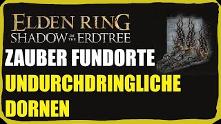 Undurchdringliche Dornen Zauber  Zauber Fundorte Guide  Elden Ring DLC [upl. by Ydrah]