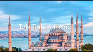 Travel To Turkey 🇹🇷  Istanbul Holiday Package  IndiGo Flights  IndiGo 6E [upl. by Kalle173]