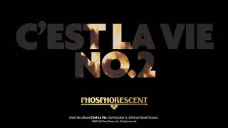 Phosphorescent  C’est La Vie No 2 Official Audio [upl. by Ahto47]