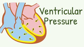 The EASIEST Explanation of Ventricular Pressure During Cardiac Cycle  Ventricular Pressure curve [upl. by Atnom]