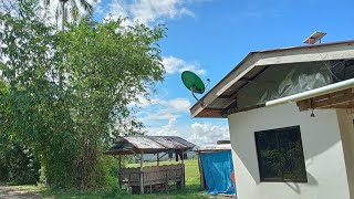 OUR HOUSE NEXT TO THE JUNGLE COUNTRY SIDE OF SOUTH LEYTE silentvlog countryside nature [upl. by Asatan]