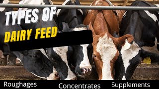 Types of dairy feedForages concentrates and supplements [upl. by Nnaegroeg]