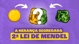 Segunda Lei de Mendel Herança Segregada [upl. by Tapes346]