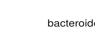 How to pronounce bacteroides [upl. by Rosenkrantz]