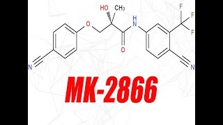 20mg of Ostarine Cycle Results  Blood Work Before and After  PCT [upl. by Kat160]