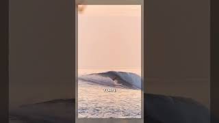 Surf tip How to ride a bigger board with Torren Martyn [upl. by Yldarb]