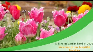 Millthorpe Virtual Garden Ramble 2020 [upl. by Levesque302]