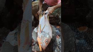 Popular Big Red Snapper Fish Skinning Skills Live In Fish Market  shorts [upl. by Curren]