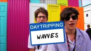 Wavves  quotDaytripping Ruined My Lifequot  Daytripping [upl. by Daggett979]