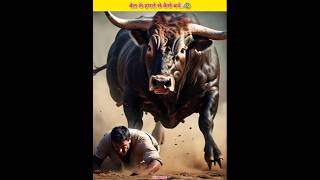 How To Escape A Raging Bull 😰 shorts trending facts youtubeshorts [upl. by Concordia]