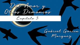 GABRIEL GARCÍA MARQUEZ DEL AMOR Y OTROS DEMONIOS CAPITULO 35 [upl. by Pooh]