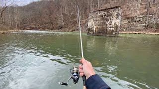 THIS River is LOADED with TROUT rainbow trout fishing [upl. by Ynnor]