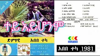 Abebe teka tey ayhonem best music 1981 አበበ ተካ ተይ አይሆንምጰምርጥ ሙዚቃfilmora filmora [upl. by Ehcropal780]