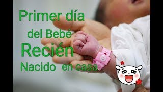 Primer día de un bebé recién nacido prematuro en casa con mi bebé reborn Maddie [upl. by Freiman]