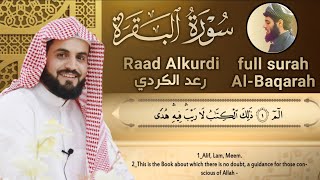 سورة البقرة كاملة للقارئ رعد الكردي  full surah Al Baqara ـRaad Alkurdi [upl. by Trula]