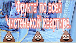 Самвел Адамян  геройНедогарский стакан с низким интеллектомЛучше один раз увидеть [upl. by Gylys352]