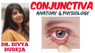 CONJUNCTIVA ANATOMY  Ophthalmology  Conjunctiva of eye [upl. by Ayaros244]