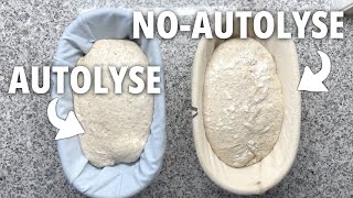 To autolyse or not to autolyse that is the question [upl. by Aenil]