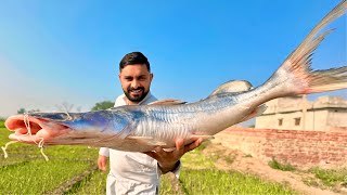 BIG RIVER FISH  Fish Pakora Recipe with Traditional Style  My Village Food Secrets [upl. by Zawde]