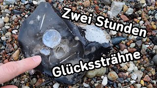 Die Glückssträhne  Fossilien suchen an der Ostsee [upl. by Christiane]