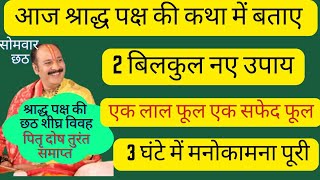 श्राद्ध पक्ष सोमवार छठ हर मनोकामना पूरीपितृ दोष तुरंत समाप्त मंगल विवाह pradeepmishra ji k upay [upl. by Sitnerp]