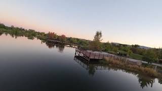 Quinns Pond Full Video [upl. by Hollie383]