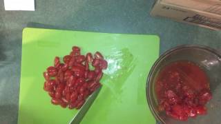 How to dehydrate quotSun Driedquot Tomatoes with American Harvest Dehydrator DIY Homemade [upl. by Ardie]