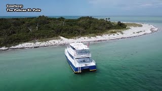 Explore Egmont Key on fourhour boat tour [upl. by Eudo476]