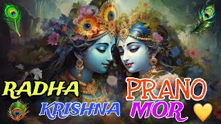 RADHA KRISHNA PRANO MOR ❤  COVER BY  NRD DAS  SHERE SOME MY VRINDAVAN MEMORIES 😌  GURU KRIPA [upl. by Allenod255]