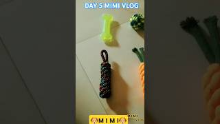 MIMI KA NEW TOYS KIT mimidogloverlabradorvlogpetspuppycute funny [upl. by Laehplar825]