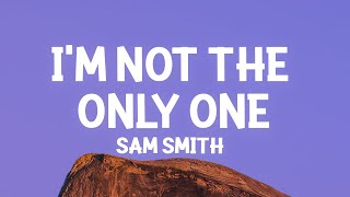 Sam Smith  Im Not The Only One Lyrics [upl. by Isidro]