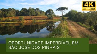 CHÁCARA À VENDA EM SÃO JOSÉ DOS PINHAIS [upl. by Yttel]